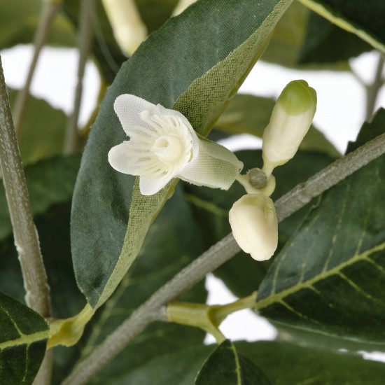 FEJKA yapay bitki, limon ağacı