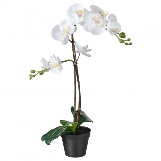 FEJKA yapay bitki, orkide-beyaz