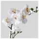 FEJKA yapay bitki, orkide-beyaz