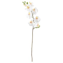 SMYCKA yapay çiçek, orkide-beyaz