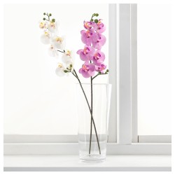 SMYCKA yapay çiçek, orkide-beyaz
