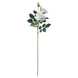 SMYCKA yapay çiçek, gül-beyaz